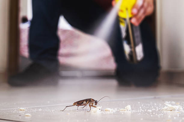 Pest Control for Restaurants in Cabool, MO